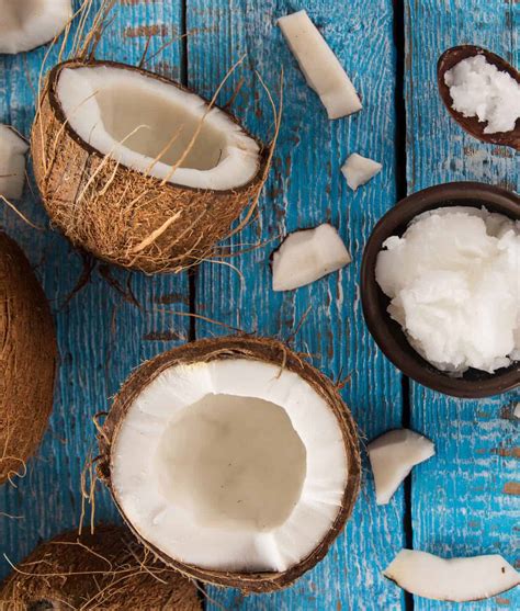 Coconut Cacao Now Tree Of Life