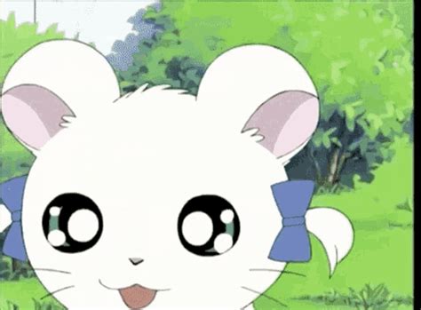 Hamtaro Hamtaro Discover Share GIFs