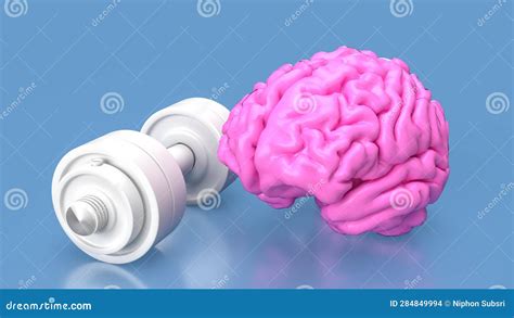 The Pink Brain And White Dumbbell For Brain Training Concept D