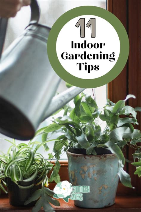 11 Indoor Gardening Tips :: Southern Savers