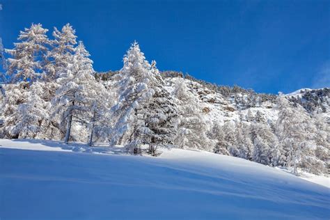 Alpine winter landscape stock photo. Image of bernina - 164994778