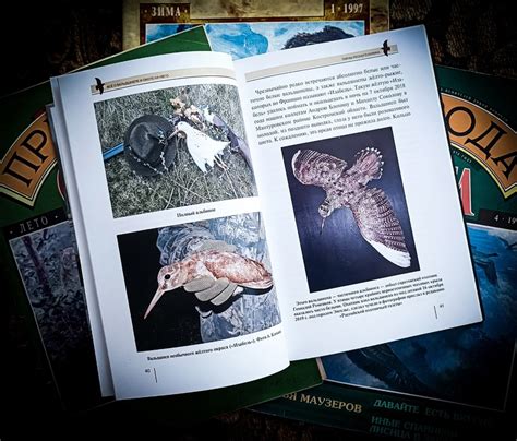 ВАЛЬДШНЕП. Научная группа. 2024 | ВКонтакте