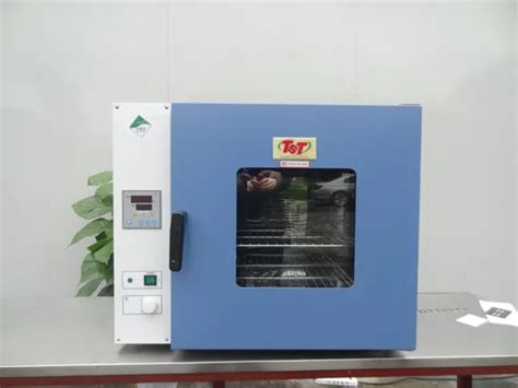 Customizable Electric Drying Oven With Hot Air Circulation Industrial Oven Drying Ovens And