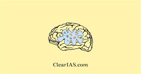 Brain-Eating Amoeba: Naegleria fowleri - ClearIAS