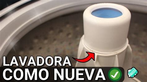 Aprende C Mo Limpiar Correctamente La Lavadora Por Dentro En Pasos