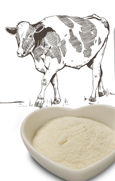 Ферменты KID POWDER LIPASE Calza Clemente - Купить Оптом | Aprofi-group