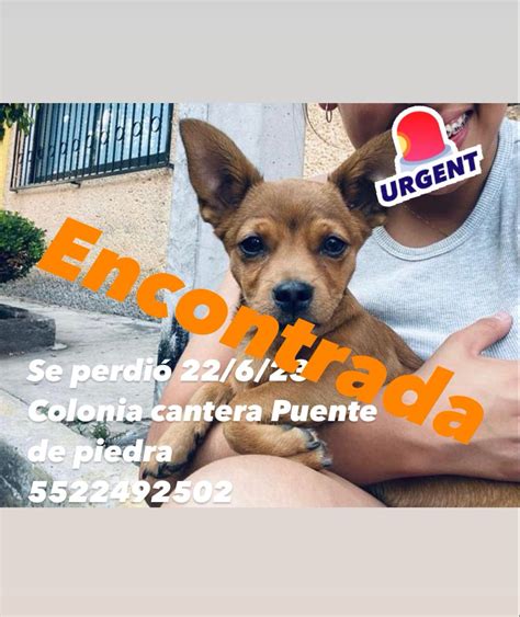 Mascotas Sismo On Twitter Rt Llanuravecinos Carrascotlalpan