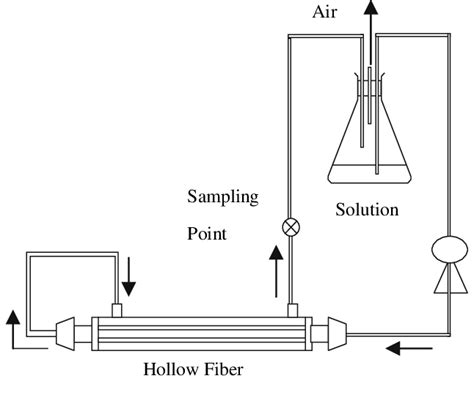 A Schematic Of Experimental Setup The Hollow Fiber Membrane