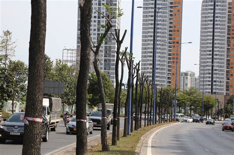 Nắng nóng tại TP Hồ Chí Minh gay gắt hơn vì thiếu cây xanh