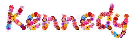 Name Kennedy Stock Illustrations 7 Name Kennedy Stock Illustrations