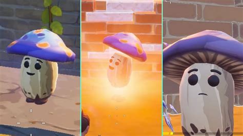 New Bud The Mushroom Locations In Fortnite😍 Youtube