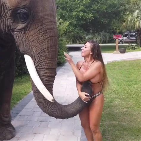 Horny Elephant Porn Video Neryda