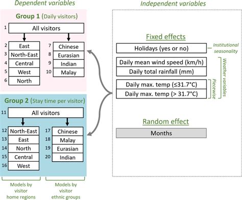 The Structure Of The Generalized Linear Mixed Effects Models In The