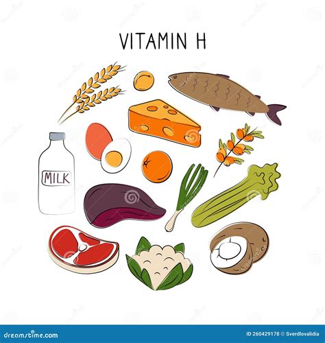 Vitamin H Biotin. Groups of Healthy Products Containing Vitamins. Set ...