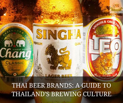 Thai Beer Brands: A Guide to Thailand's Brewing Culture - MALII THAI KITCHEN