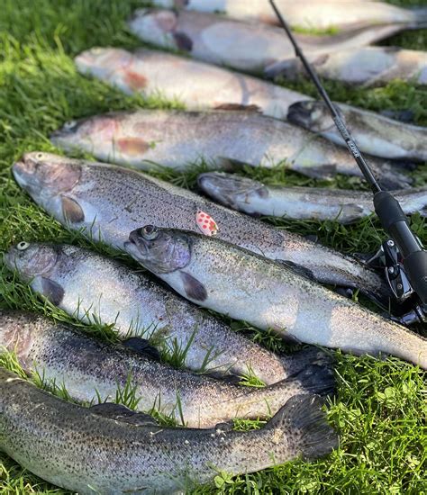 Raymond fishing trips are yielding record-breaking bass catches 12