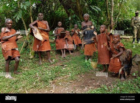 Batwa Pygmies Bwindi Impenetrable National Park Uganda Africa Stock