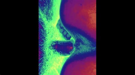 MILF Se Faire Pilonner Le Cul Moring Sexe Cum Rempli Chatte Trippy Pornhub