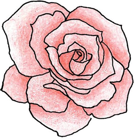 Free Rose Drawing Outline, Download Free Rose Drawing Outline png ...