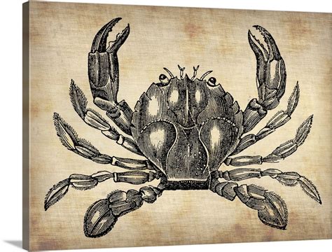 Vintage Crab Wall Art Canvas Prints Framed Prints Wall Peels Great