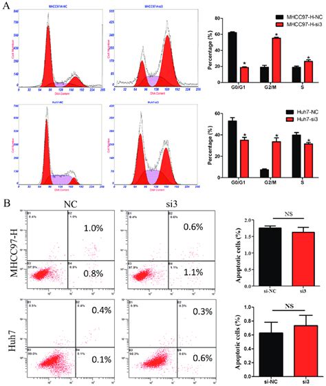 Silencing Of CDCA5 Induces HCC Cell Cycle Arrest A Cell Cycle