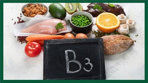 Vitamin B3 - Niacin: Importance, Sources, and Deficiency - NTI School