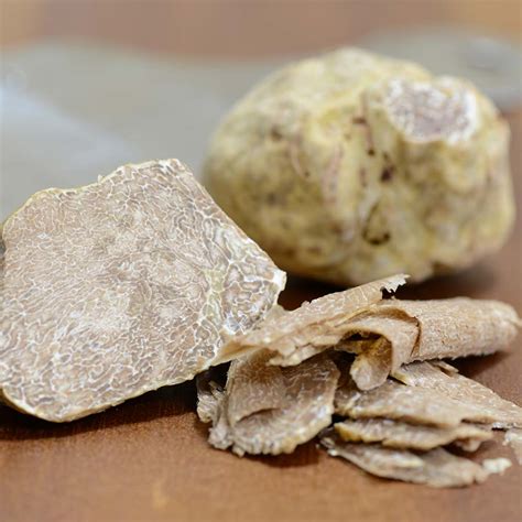 Types of Truffles Explained | Gourmet Food Store
