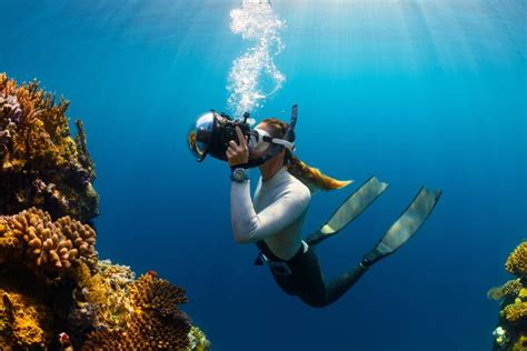 Scopri Il Meglio Di Marsa Alam Guida Completa Aggiornata