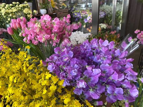 1月21日はスイートピーの日 ブログ 兵庫県西宮市の花屋ならなみ花壇