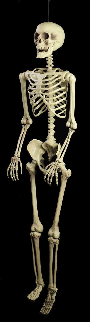 halloween decoration skeleton  cm led eyes wwwfiguren shopde