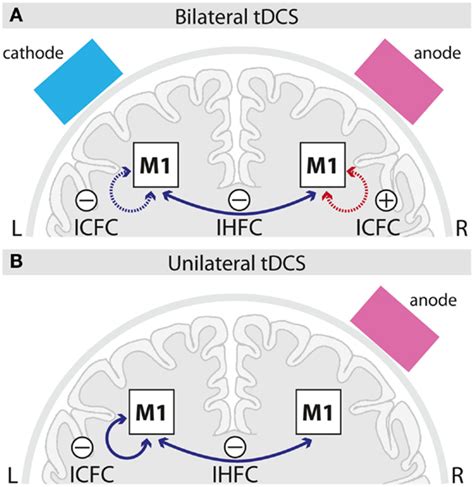 Frontiers A Comparison Between Uni And Bilateral TDCS Effects On