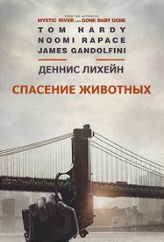 Умирающее животное скачать fb2, epub, pdf книгу Филип Рот, читать онлайн