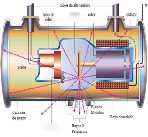 catodo  anodo raio  retoedu