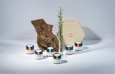 Beelab on Behance