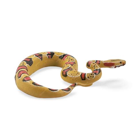 Premium Photo | Miniature snake isolated on white