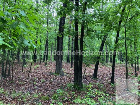 Acres In Marion County Ar Views Of Bull Shoals Lake Land On The