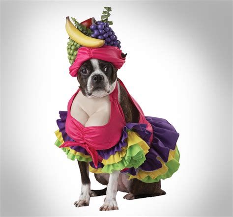 Cha Cha Cha Dog Costume