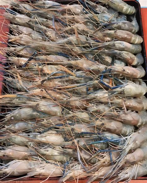 รป J Hot Suki แจวฮอนขอนแกน รบออเดอท ตรงขามตะวนแดง ถนนเฉลมพระเกยรต