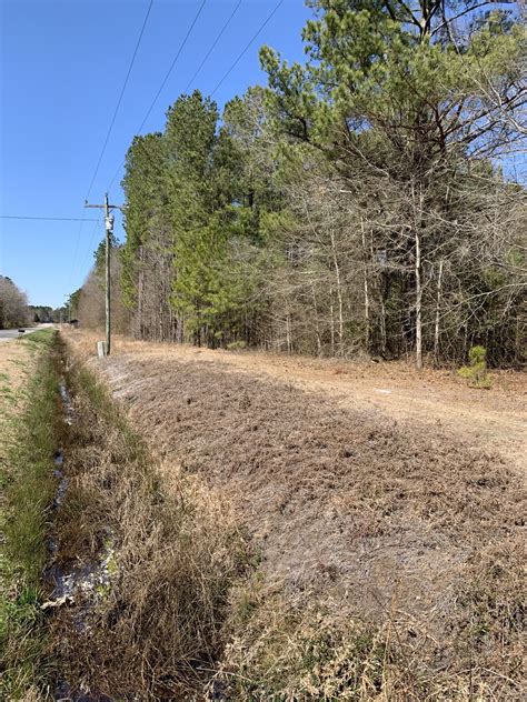 Mugshots Beaufort County South Carolina - CorTanNews