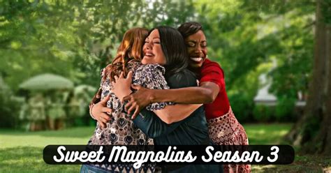 Sweet Magnolias Season 3 Will There Be Another Season Digi Hind News