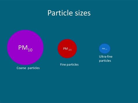 Particulate Matter Pollution