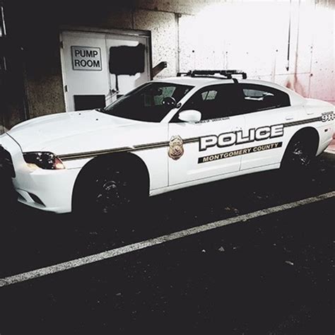 Blackboyaddictionz Juju And Legend Dildo Fuck Each Other My XXX Hot Girl