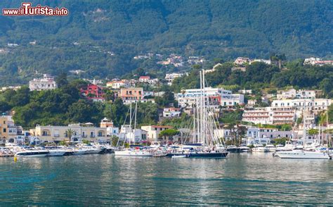 La Marina Di Casamicciola Terme Isola D Ischia Foto