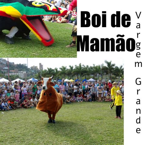 Maricota Boi De Mamão - Maricota – música e letra de boi de mamão da vargem grande | Spotify
