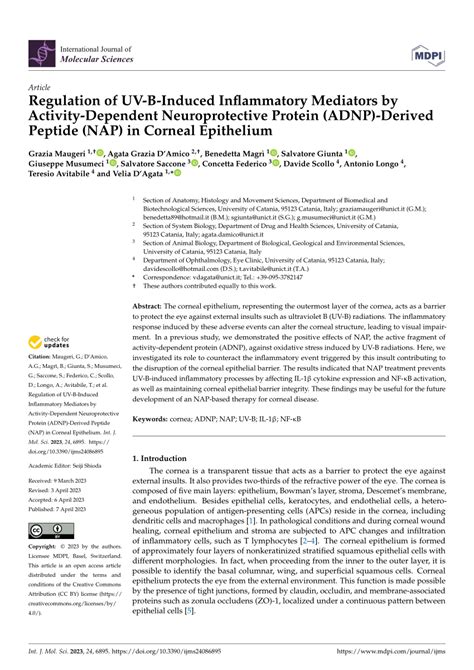 PDF Regulation Of UV B Induced Inflammatory Mediators By Activity