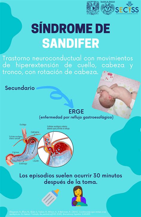 Infografías | SECISS