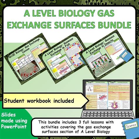 A Level Biology Gas Exchange Surfaces Bundle Teaching Resources