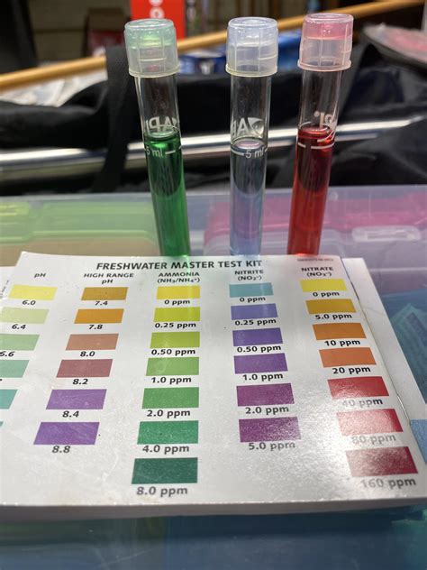High Ammonia, No Nitrites, High Nitrates | Scrolller