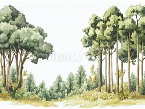森林のイラストイラスト - No: 25533293｜無料イラスト・フリー素材なら「イラストAC」