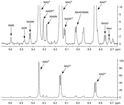 IJMS Free Full Text NAD Metabolome Analysis In Human Cells Using 1H